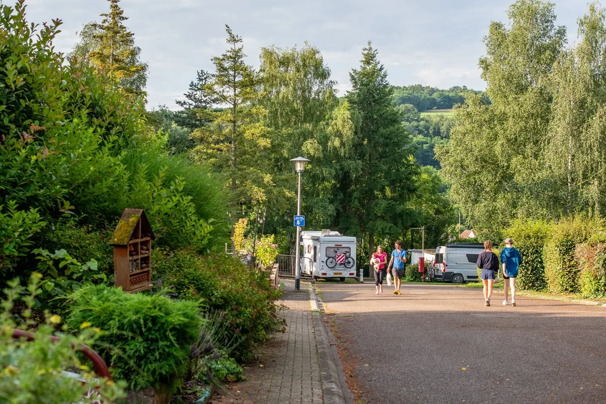 Camping L'Orée d'Alsace Onlycamp — foto 2