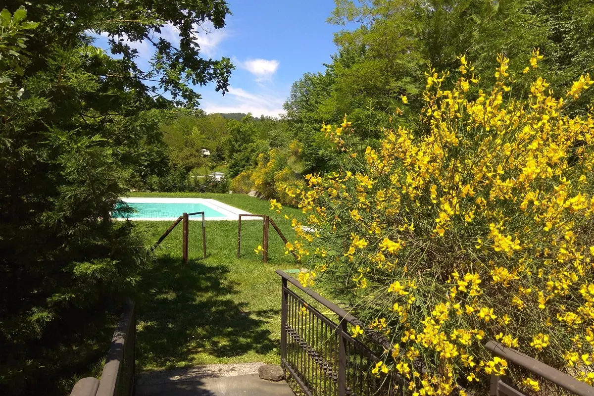 Piccolo Camping E Maieu — foto 2