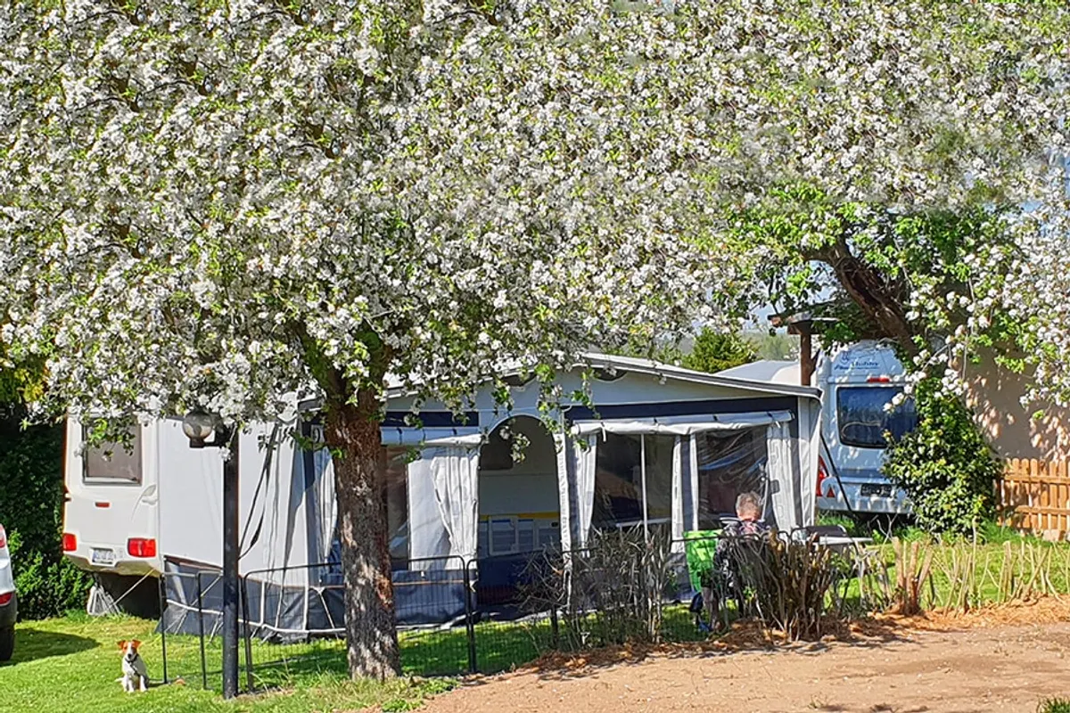 Camping Landidyll — foto 2