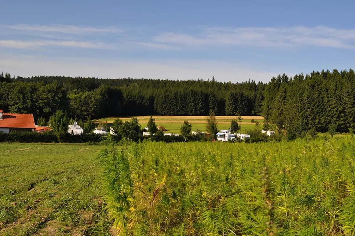 Haarstubencampingplatz Reingers, foto 2