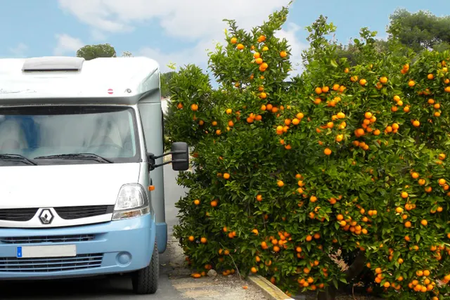 Camperpark Orange Grove