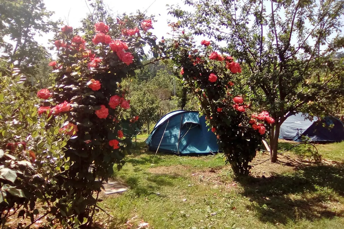Agricamping Oasi del Belvivere