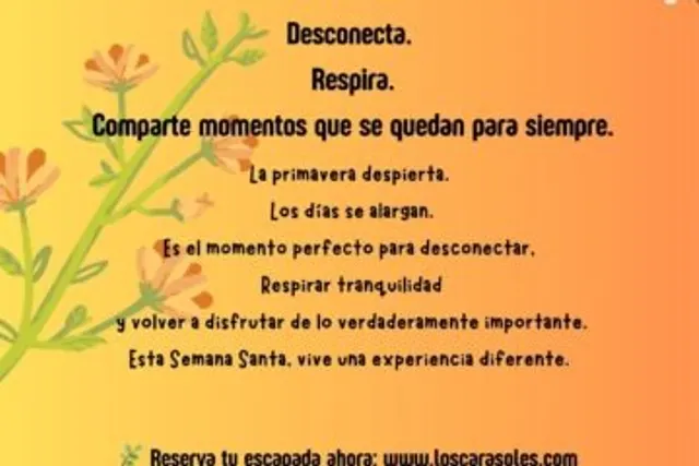 Camping Los Carasoles