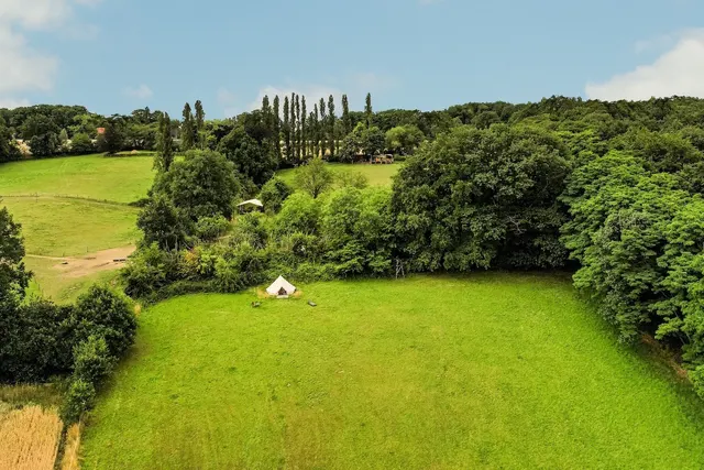Aguas vivas