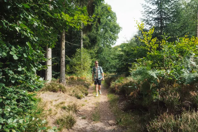 Hvirvelkærgaard Autocamperplads