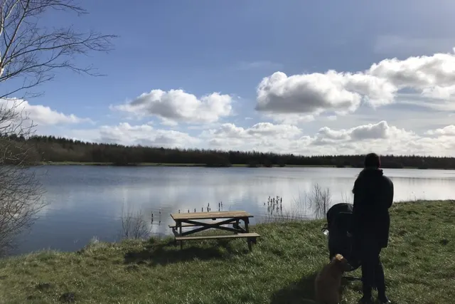 Rødekro Fiskepark