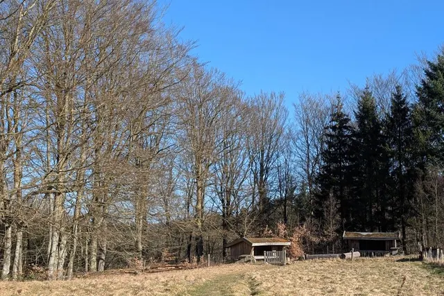 Høgdal Shelterplads