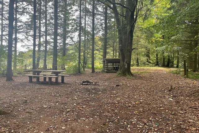 Knøsen Primitiv teltplads