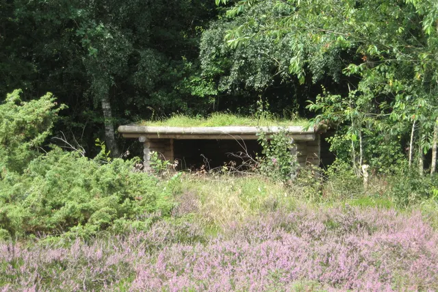 Grønning Øre Naturlejrplads