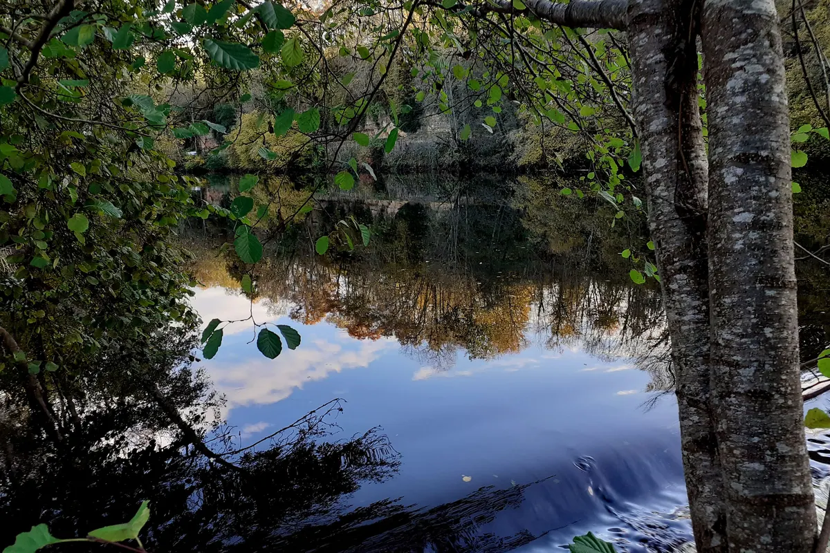 Camping Les Chambons — foto 2