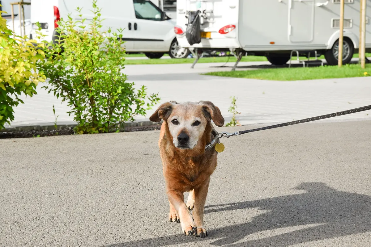 Genuss-Camping Bad Gleichenberg — foto 2