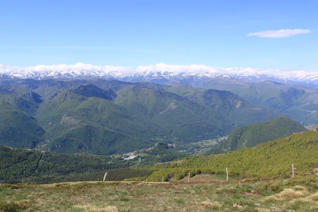Camping à la ferme
