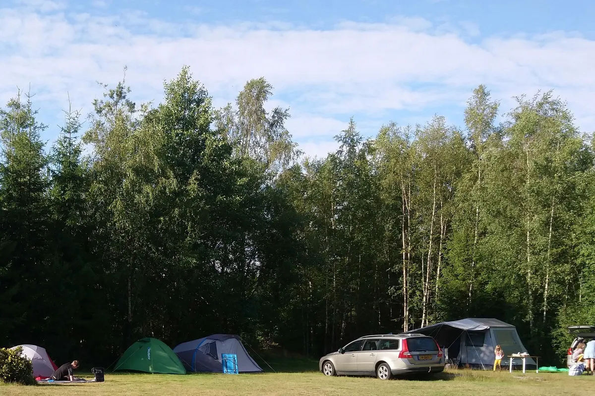 Stensjö Camping — foto 2