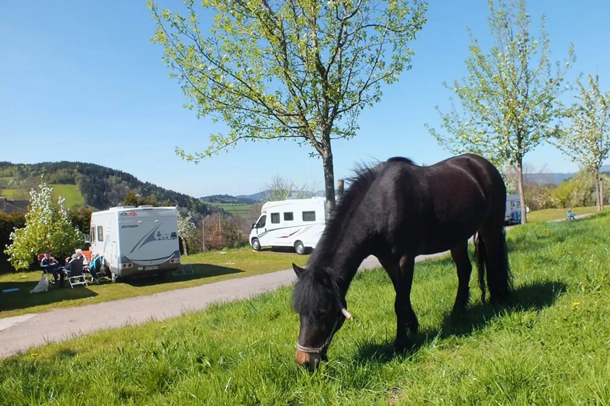 Camping Kirnermartes Hof — foto 2