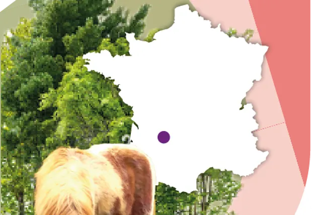 Camping des Arbousiers