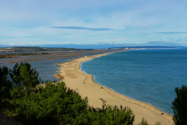 Le Clapotis