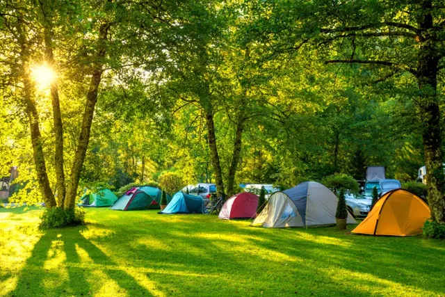 Camping Municipal Les Vignes