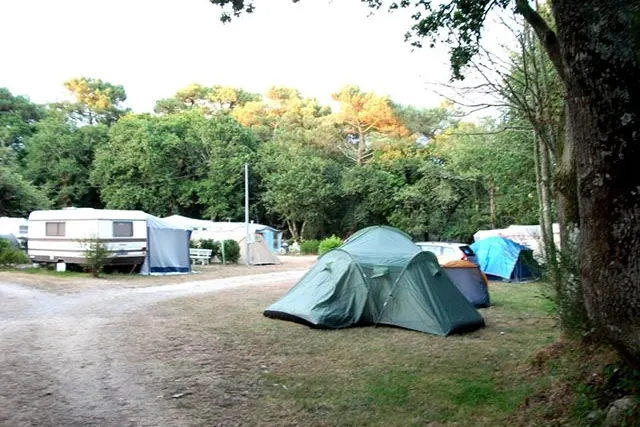Camping Les Ajoncs