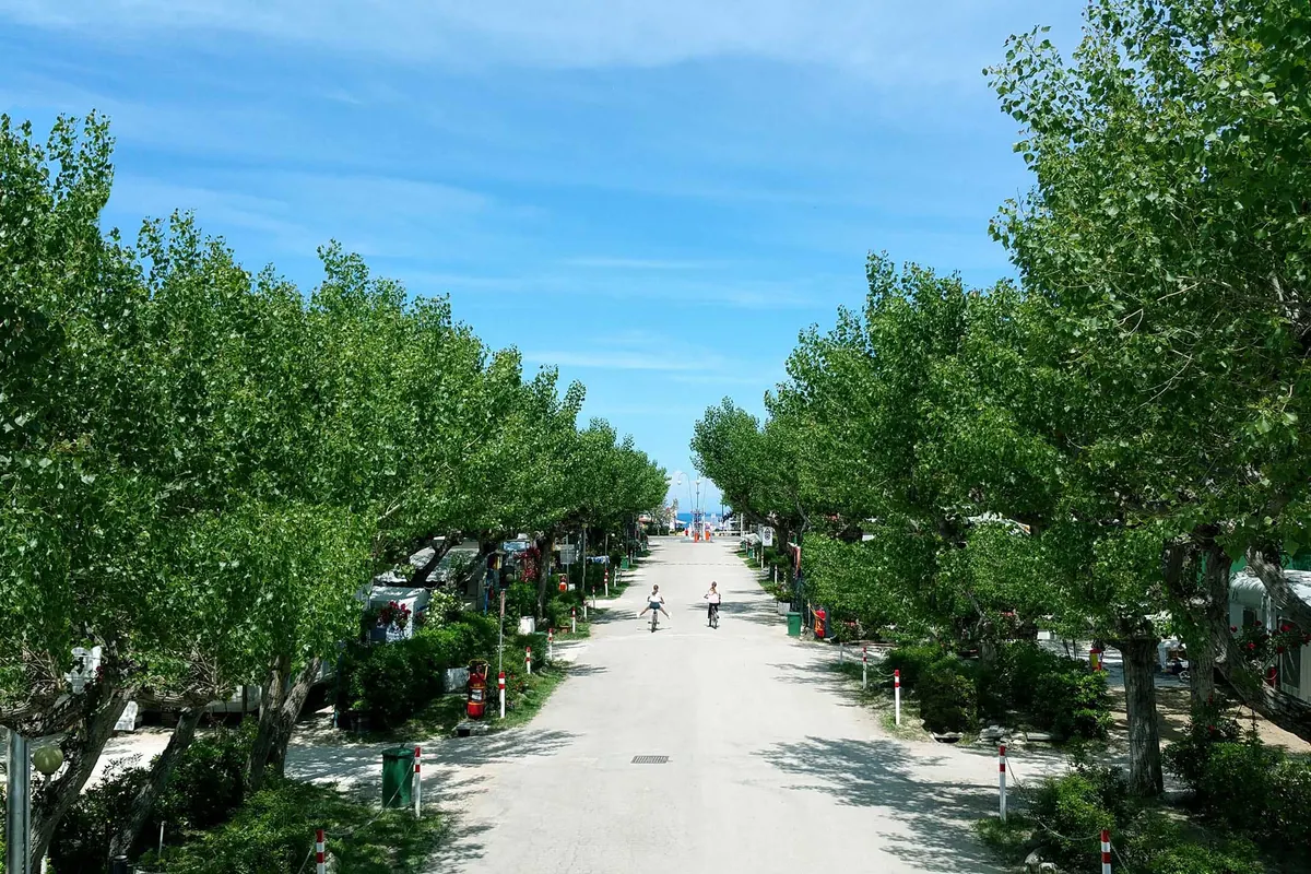 Camping Adria — foto 2