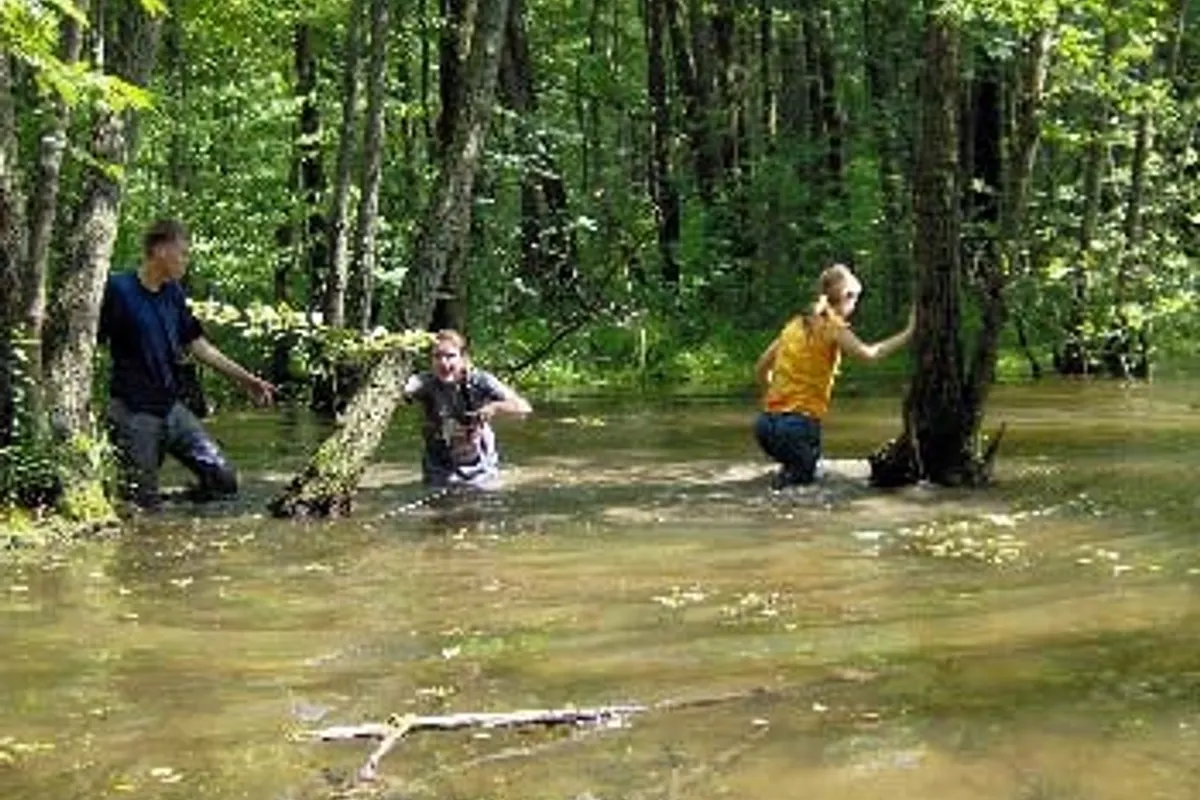 Camping 2000, foto 2