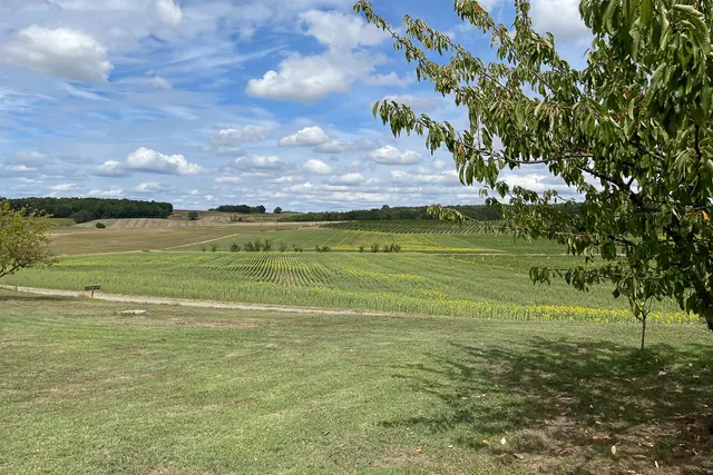 Parc Saint-Vincent