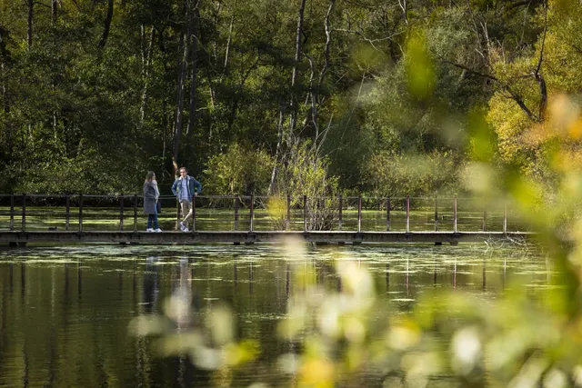 Parc résidentiel de loisirs les Tulipiers