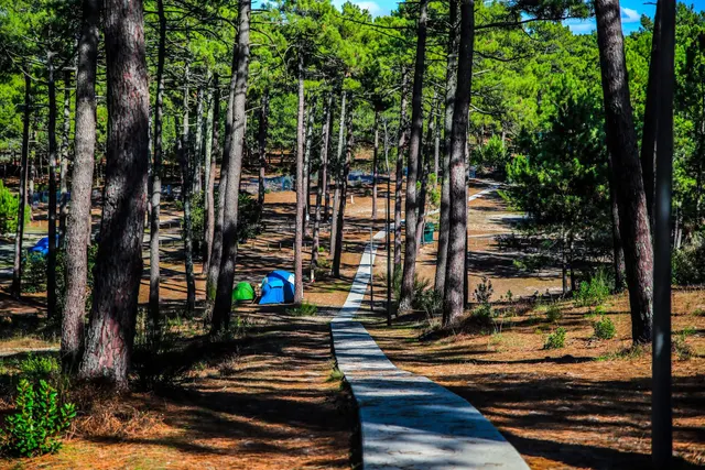 Le Porge - Camping municipal de la Grigne
