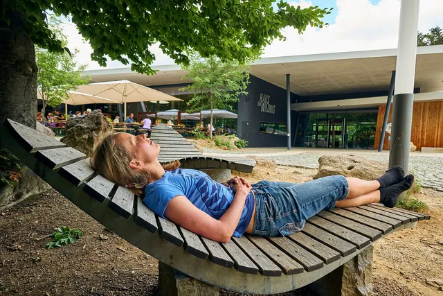 Wohnmobilstellplätze Nationalparkzentrum Falkenstein
