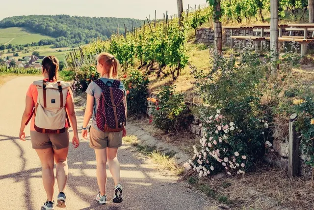 Wohnmobilstellplatz Weingut Schaaf