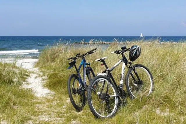 Stellplatz Sehlendorfer Strand