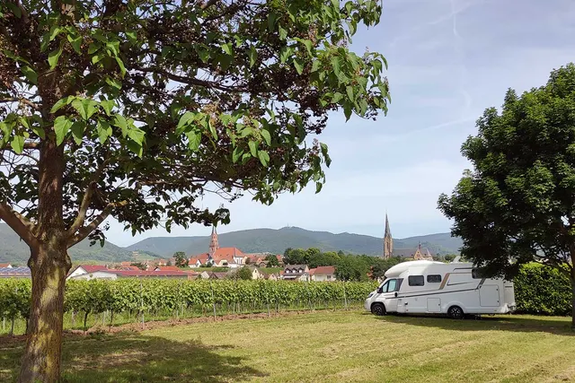 Wohnmobilstellplatz Brennerei & Weinstube Göring - Edenkoben