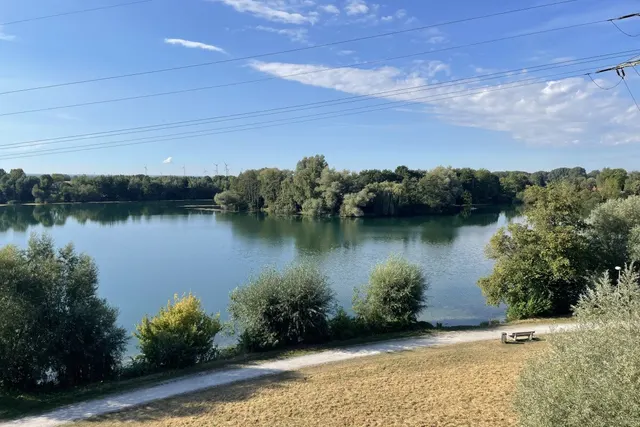 Wiese mit Seeblick