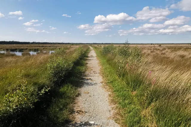 An der Uferstraße Remels