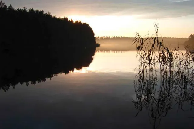 Campingoase Waldsee