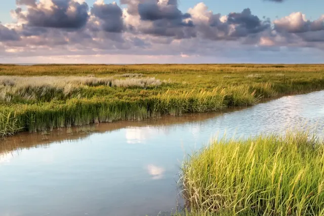 Camping De Blijer Wadden