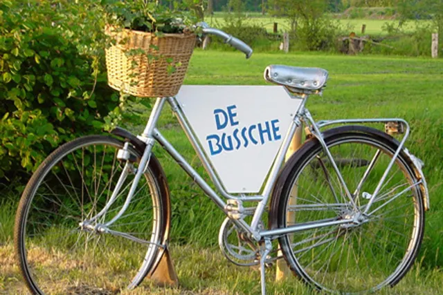 De Bussche