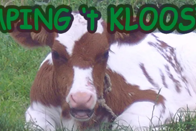 't Klooster