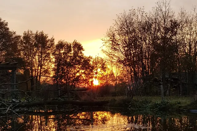 Camping In 't Niet
