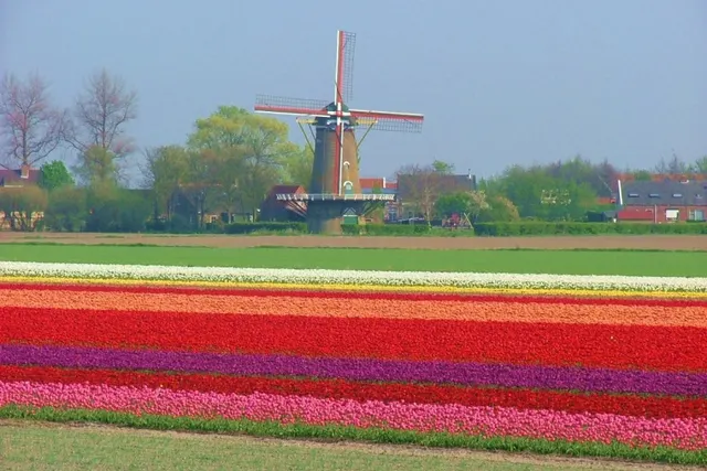 Camping Akkerleven