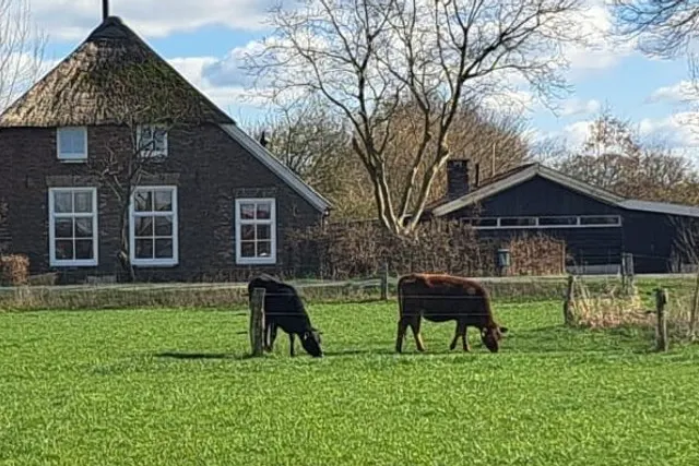 Boerencamping Remmelink