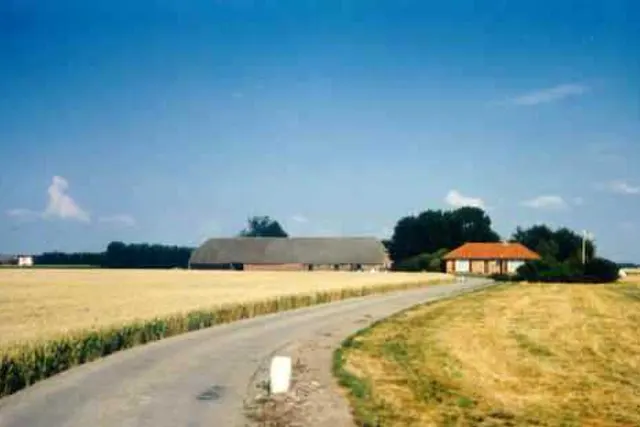 de Oliepot