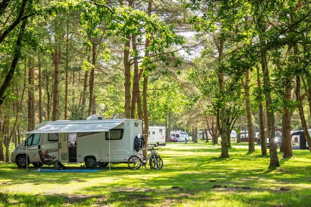 Sandringham Estate Club Site