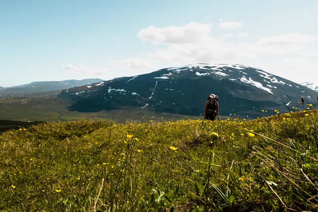 Björklidens Camping
