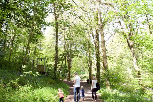 Woodlands Caravan & Camping