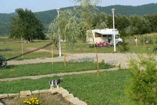 Camping Trotus Valley