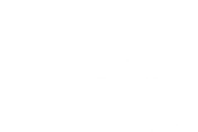 Plassey Holiday Park