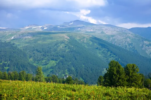 Camping Paradis La Marmotte
