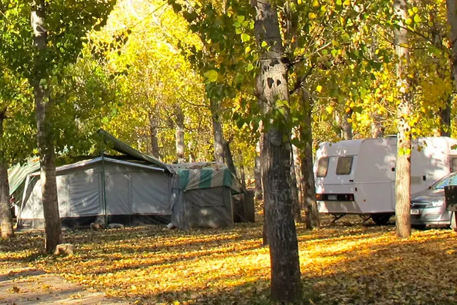 Camping Rural Llanos de Arance