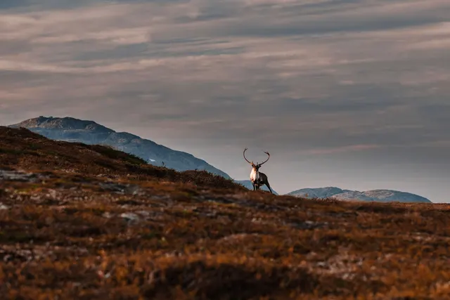 Edsåsdalen Camping