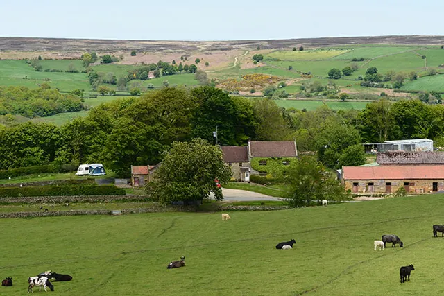 Wild Slack Farm